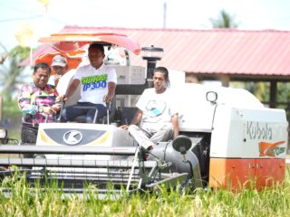 Dari Bulo Panca Rijang, IP 300 Sidrap Tunjukkan Hasil Nyata
