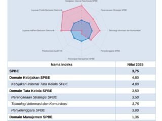 Plt. Kepala Dinas Kominfosandi Kab Pinrang, Apresiasi atas Capaian Indes SPBE Kabupaten Pinrang.