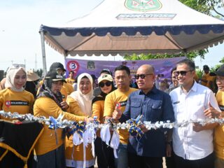 Jalur Beton 3 Km di Rappang Jadi Kanvas Ribuan Pelajar, Wabup Nurkanaah Ikut Berkarya