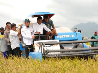 Bupati dan Kepala BBPP Batangkaluku Panen Perdana MT I di Desa Sereang