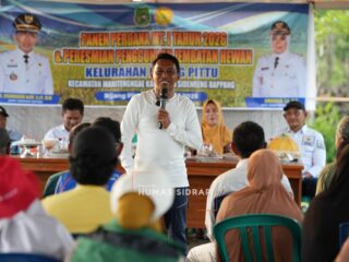 Panen Raya di Rijang Pittu, Bupati Sidrap Harap Petani dapat Menjalankan Program IP300 Secara Berkala, Agar Masyarakat Sejahterah.