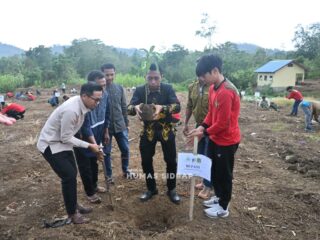 Bupati dan Wabup Sidrap Tanam Alpukat di Desa Lombo, Dorong Hortikultura Unggulan