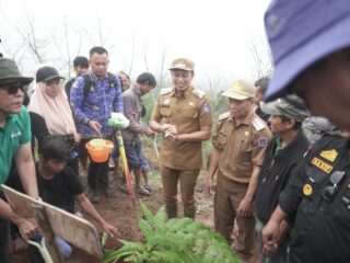 Bupati Enrekang Tanam Pakis Hutan dan Resmikan Eko Wisata Buntu Dama di Festival Hari Bumi