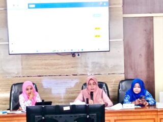 Ketua Kabupaten Sehat Pinrang Tekankan Pentingnya Data untuk Wujudkan Lingkungan Sehat dan Nyaman