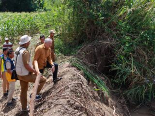 Bupati Pinrang Tinjau Abrasi Tanggul di Duampanua, Pemkab Siapkan Penanganan Serius