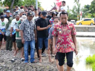 Bupati Syaharuddin Alrif Canangkan Gerakan Tanam Padi Organik di Panreng