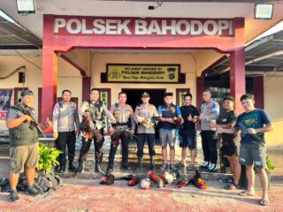 Polres dan Kodim 1311 Morowali Gerebek Judi Sabung Ayam di Bahodopi
