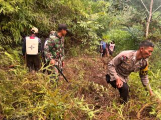 Kebakaran Lahan Kembali Terjadi di Pegunungan Dante Koa, 1 Hektare Lahan Terbakar