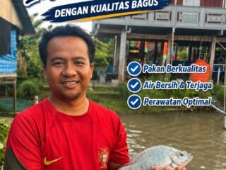 Muh Fajar Dais, Anak Muda Sidrap yang Sukses Budidaya Ikan Nila