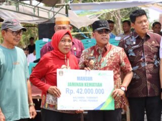 Bupati Wajo Hadiri Peringatan Hari Tani Nasional Sekaligus Pesta Panen Yang Digelar Di Kelurahan Talotenreng.