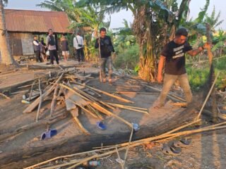 Polres Sidrap Gerebek Judi Sabung Ayam di Baranti, 3 Pelaku dan Sejumlah BB di Amankan Polisi