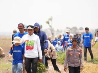 Sumur Bor Hadir, Sawah Tadah Hujan di Bapangi Tetap Produktif