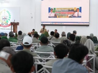 Dari Pompanisasi hingga Pola Tanam, Cara Sidrap Jaga Produktivitas Pertanian